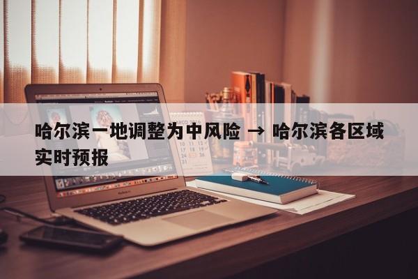 哈尔滨一地调整为中风险 → 哈尔滨各区域实时预报