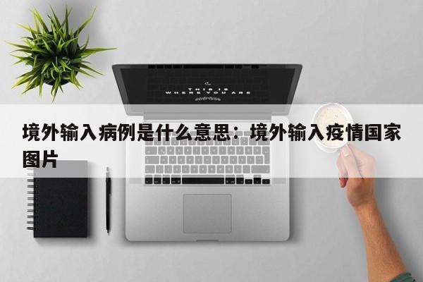 境外输入病例是什么意思：境外输入疫情国家图片