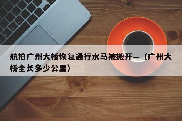 航拍广州大桥恢复通行水马被搬开—（广州大桥全长多少公里）
