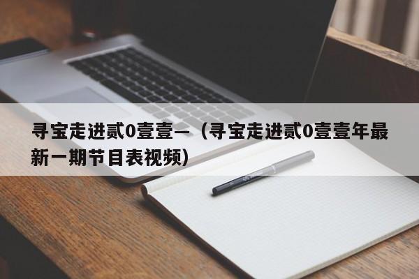 寻宝走进贰0壹壹—（寻宝走进贰0壹壹年最新一期节目表视频）