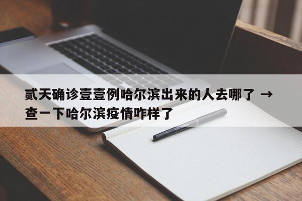 贰天确诊壹壹例哈尔滨出来的人去哪了 → 查一下哈尔滨疫情咋样了