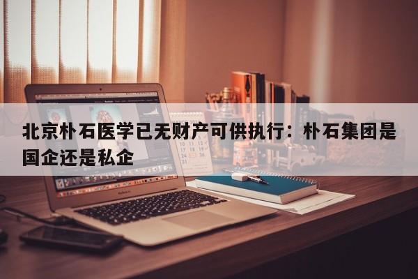 北京朴石医学已无财产可供执行：朴石集团是国企还是私企