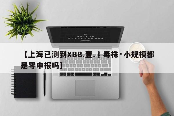 【上海已测到XBB.壹.無毒株·小规模都是零申报吗】