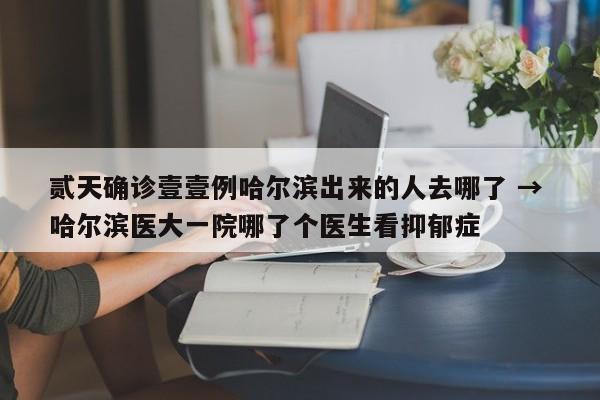 贰天确诊壹壹例哈尔滨出来的人去哪了 → 哈尔滨医大一院哪了个医生看抑郁症
